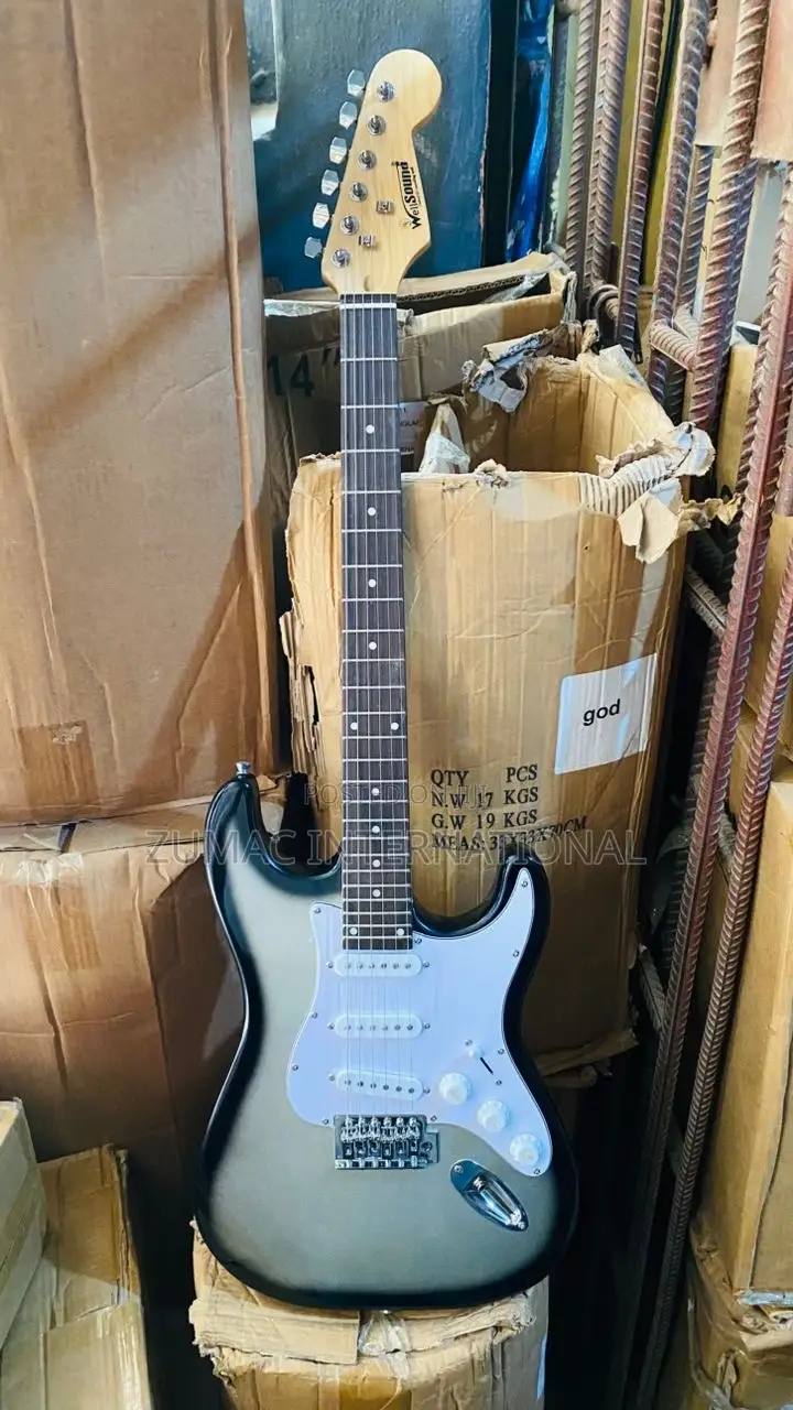 Professional Lead Guitar