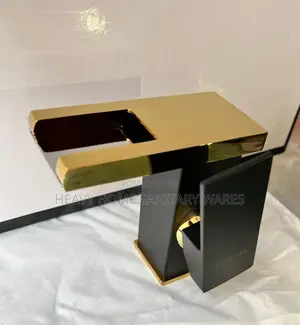 Black and Gold Basin Mixer