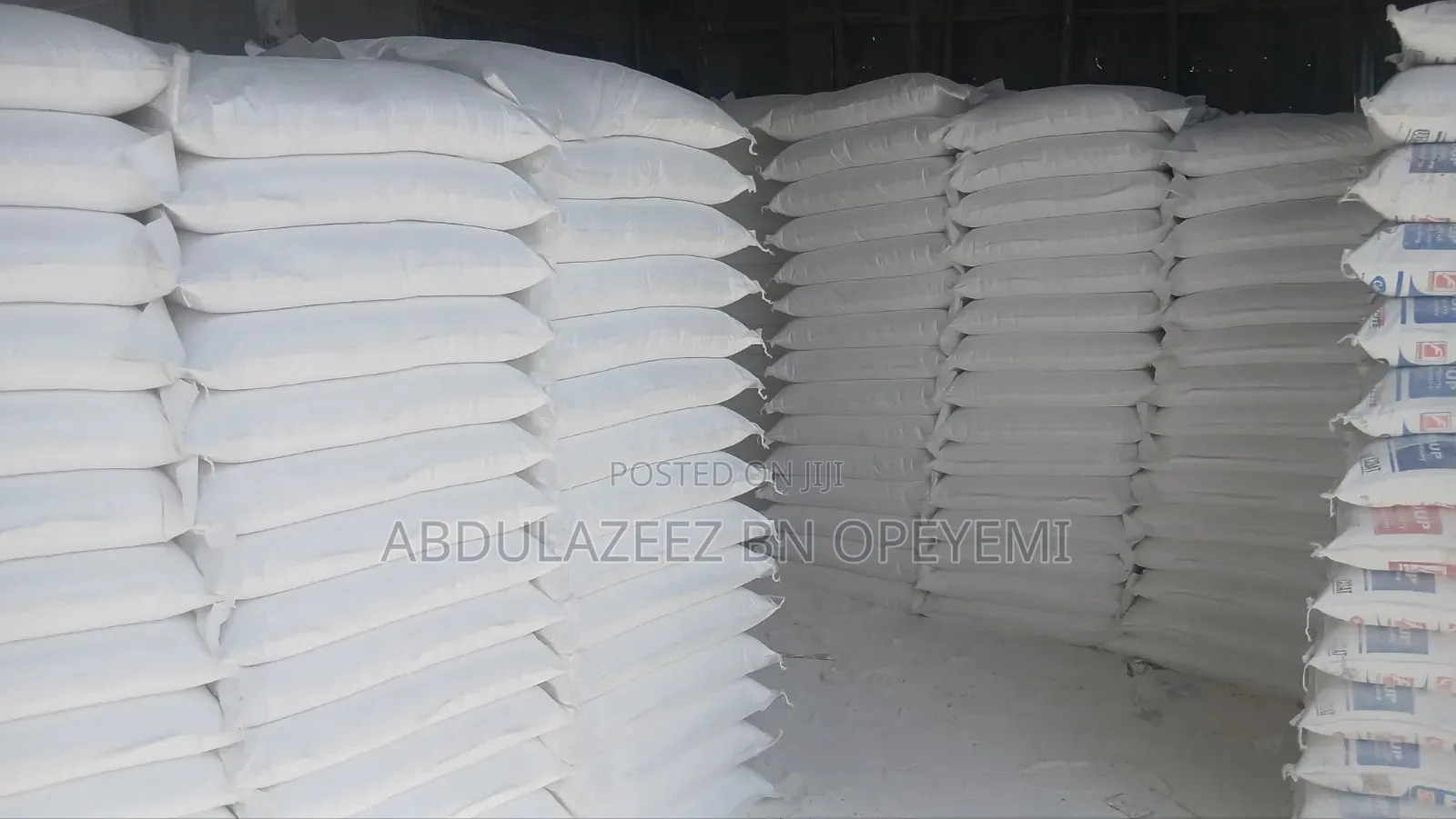 Professional Paint Production and Application