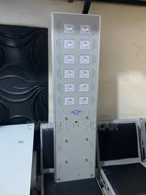 100watts All In One 12eyes Solar Street Light