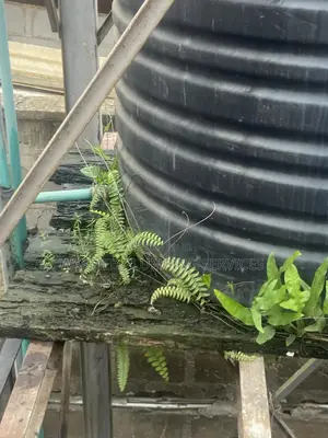 Fix Your Defected Tanks and Sanitary Wares