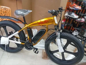 Electric Bicycle Bike