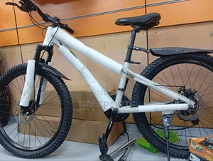 Normal Portable Bicycle Bike