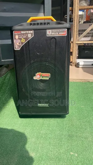 Temeisheng 12 Inches Public Address System