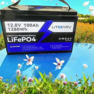 12v 1.2kwh Lithium Battery