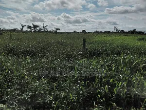 Two and Half Plots Facing Ikotun Igu Road Near Bokun Stores Alimosho