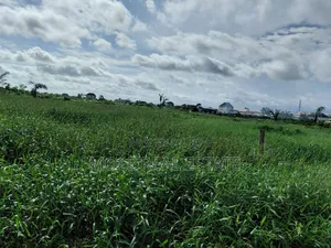 Two and Half Plots Facing Ikotun Igu Road Near Bokun Stores Alimosho