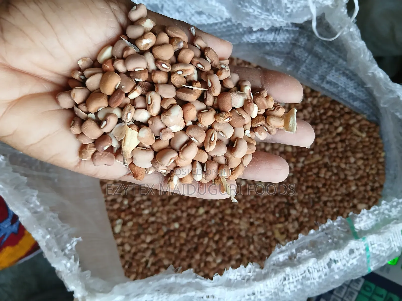 Oloyin Beans Brown Type 50kg