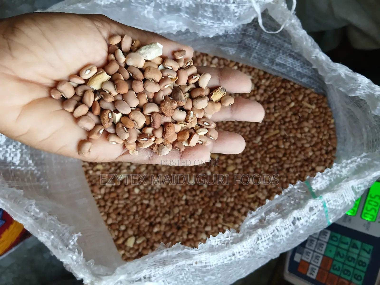 Oloyin Beans Brown Type 50kg
