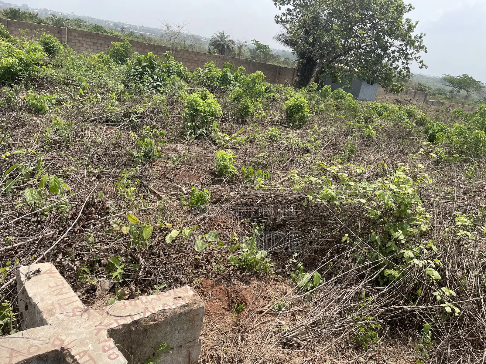 One Plot of Land
