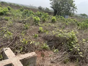 One Plot of Land