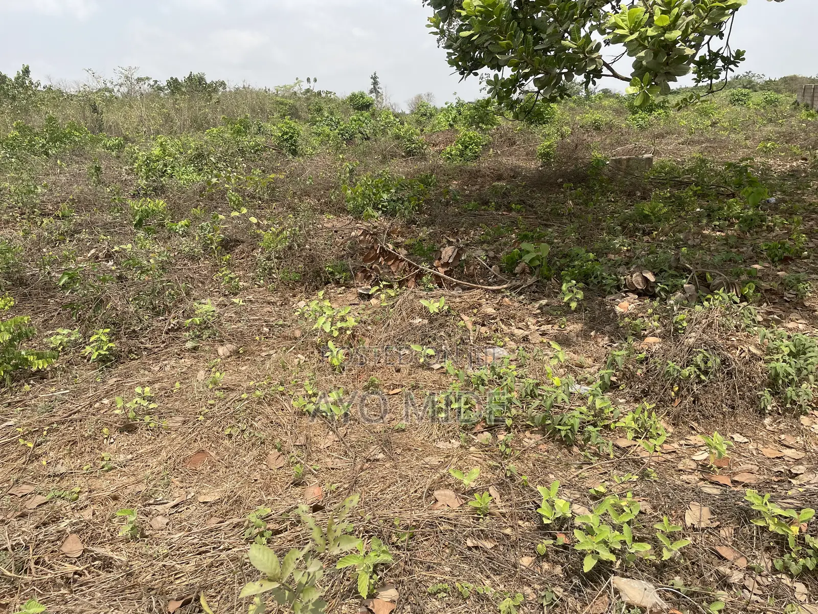 One Plot of Land