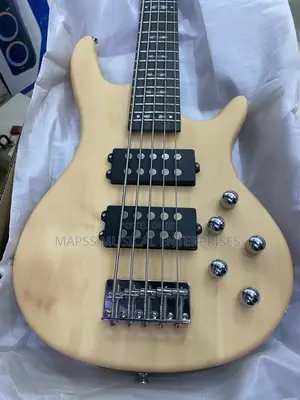 Alvarez Passive Five Strings Bass