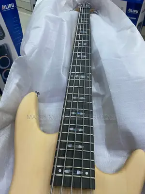 Alvarez Passive Five Strings Bass
