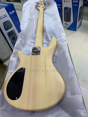 Alvarez Passive Five Strings Bass