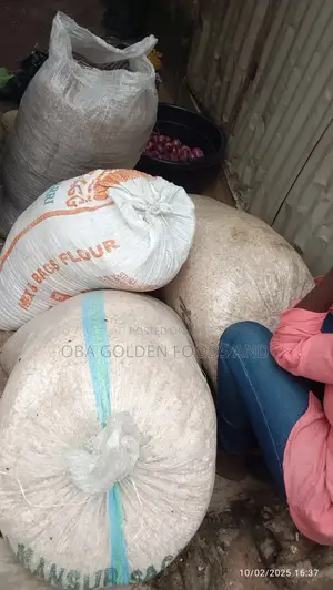 Bag of Hand Peel Egusi
