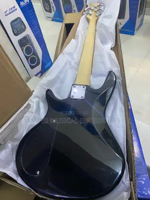 Alvarez Five String Electric Bass Guitar