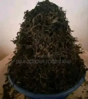 Dry Bitterleaf