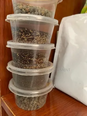 Amaranth (Efo), Tomato , Okra, and Ewedu Seeds