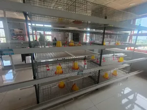 Brooding Cages