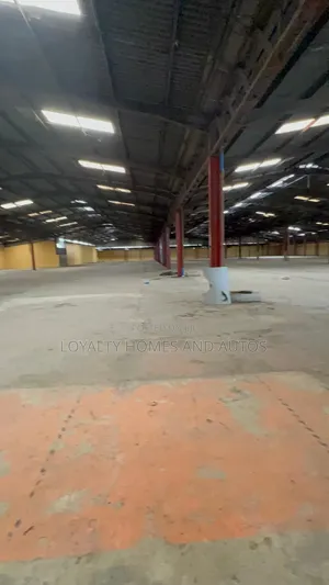 Rice Mill on 40 Hectares of Land, Brand New 360 Metric Ton Equipment