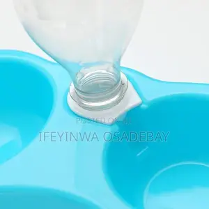 2 in 1 Puppy Plate /Drinking Bowl