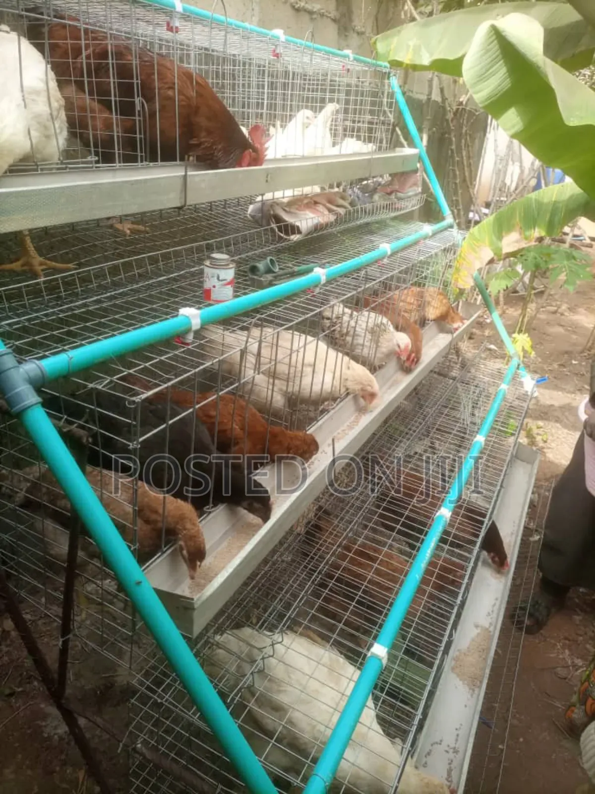 Fabricated Battery Cages