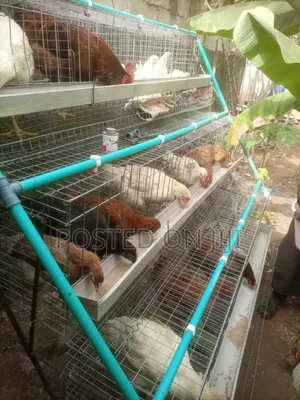 Fabricated Battery Cages