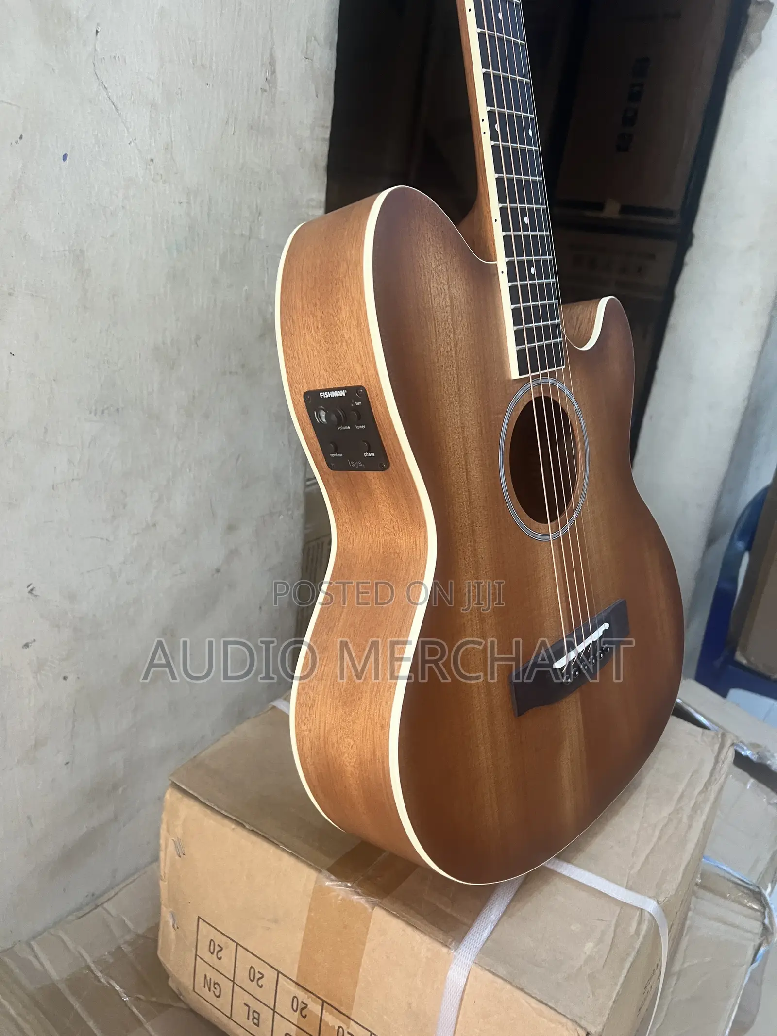 Professional Electric Semi Acoustic Guitar