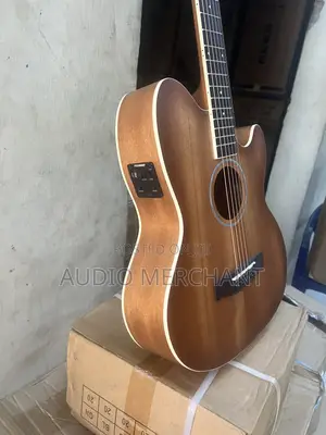 Professional Electric Semi Acoustic Guitar