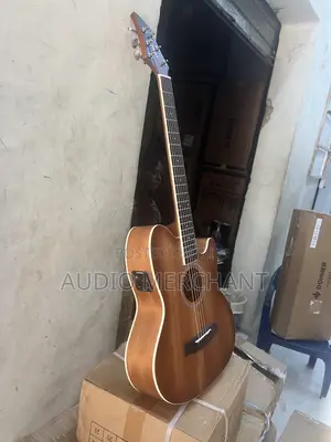 Professional Electric Semi Acoustic Guitar