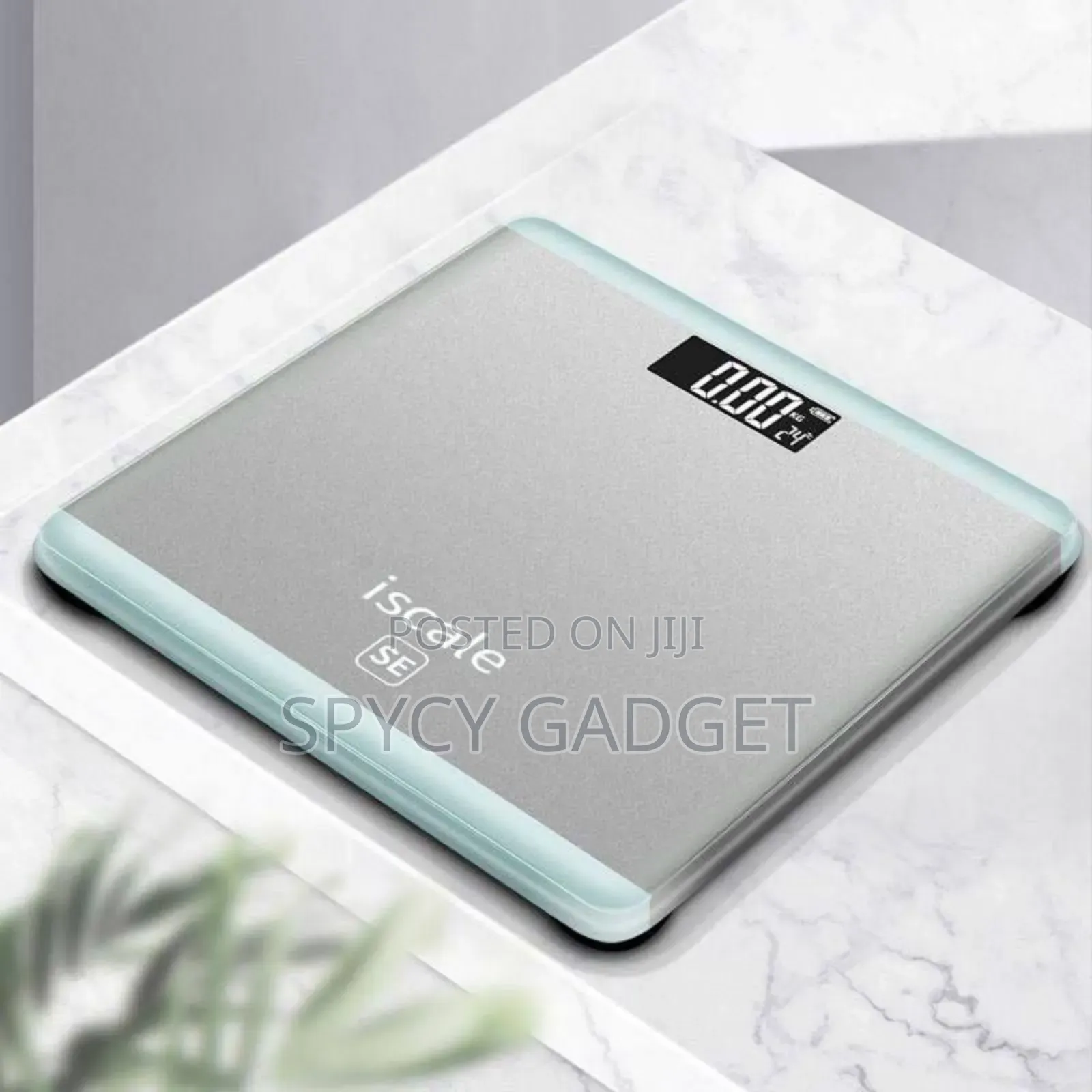 Digital Transparent Body Weight Scale