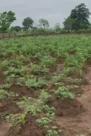 Just a Plot Left at Campus View Phase 1 Estate
