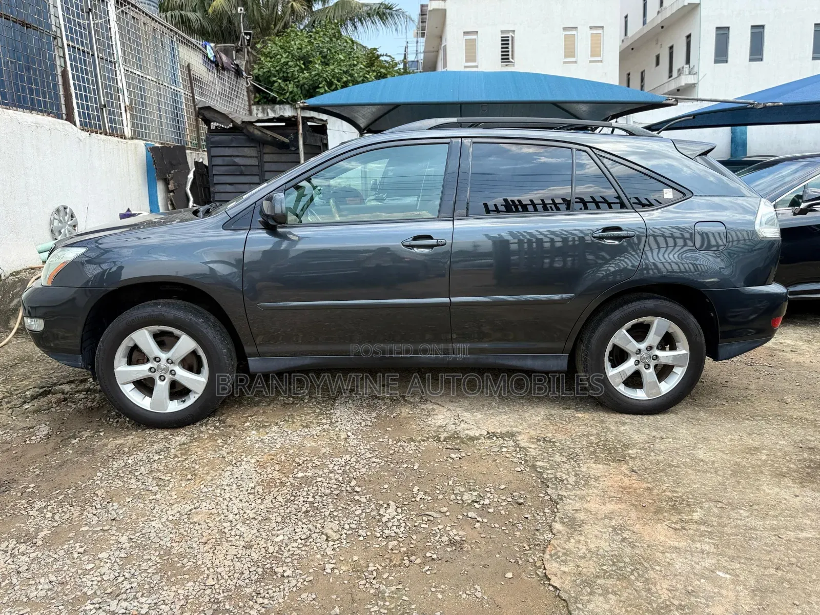 Lexus RX 330 2004 Gray