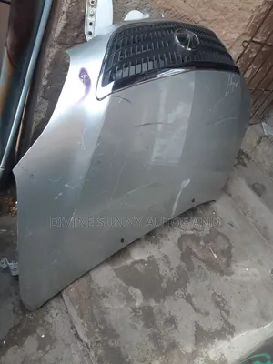 Lexus Rx330 Bonnet