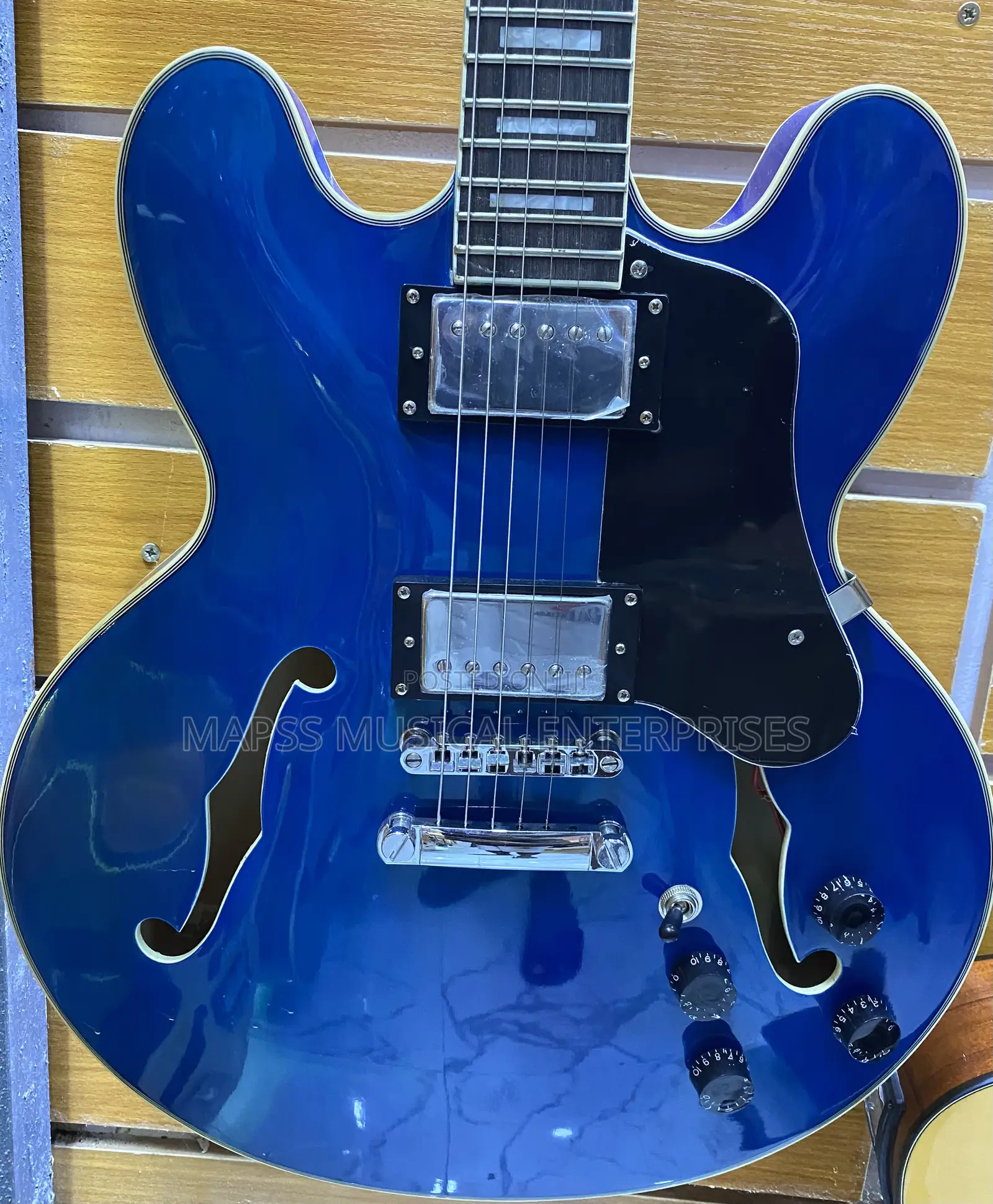 Fender Semi Hollow Electric Jazz Guitar