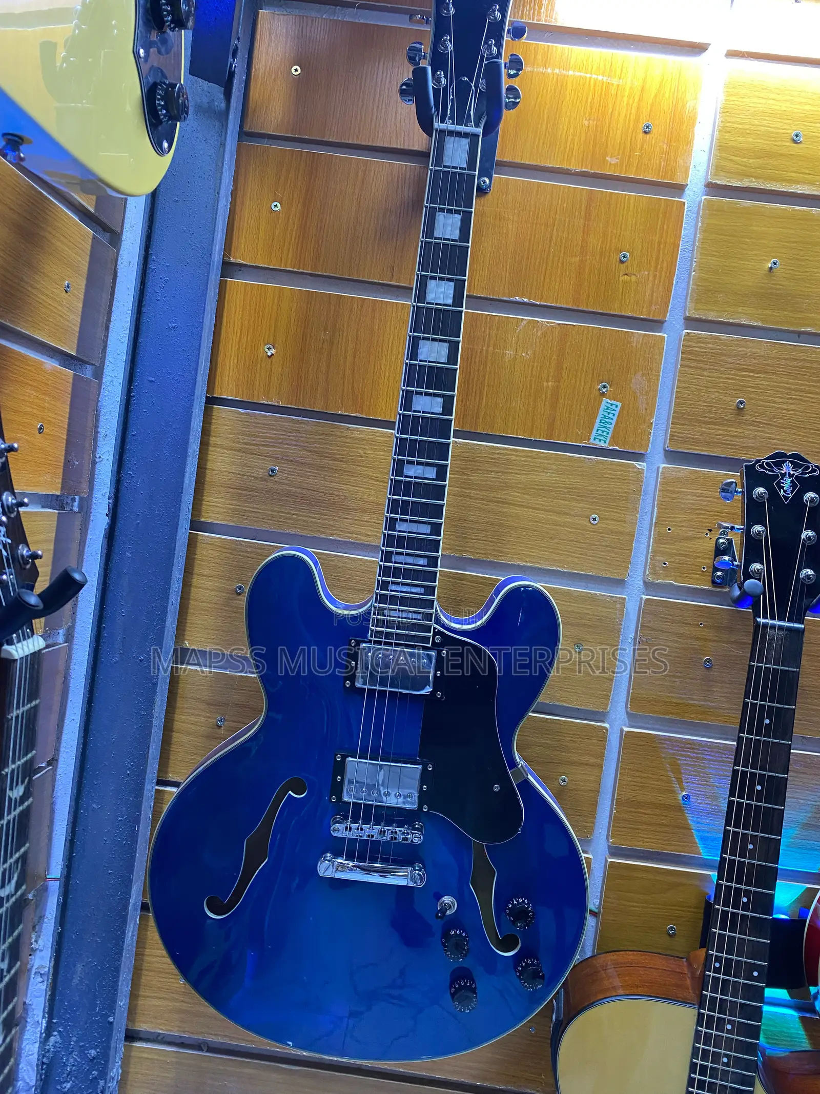 Fender Semi Hollow Electric Jazz Guitar