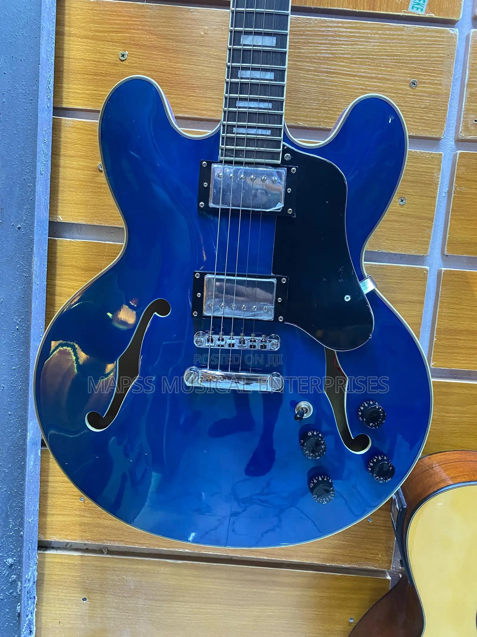 Fender Semi Hollow Electric Jazz Guitar