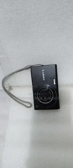Panasonic Digital Photo and Video Camera for Vintage Snapping