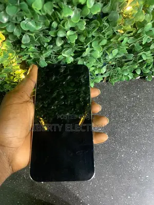 Apple iPhone 12 Pro Max 128 GB White