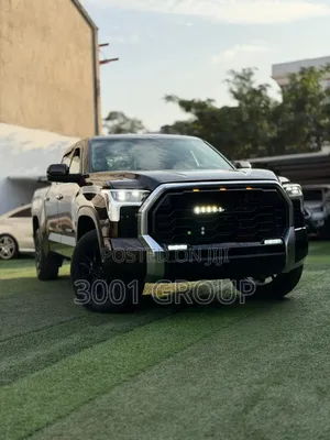 Toyota Tundra 2023 Brown