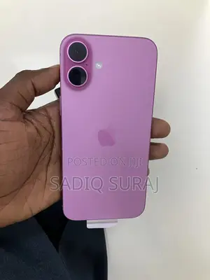 Apple iPhone 16 Plus 256 GB Pink