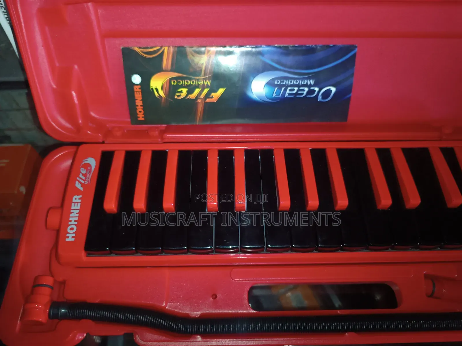 Hohner Professional Melodica