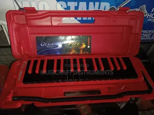 Hohner Professional Melodica