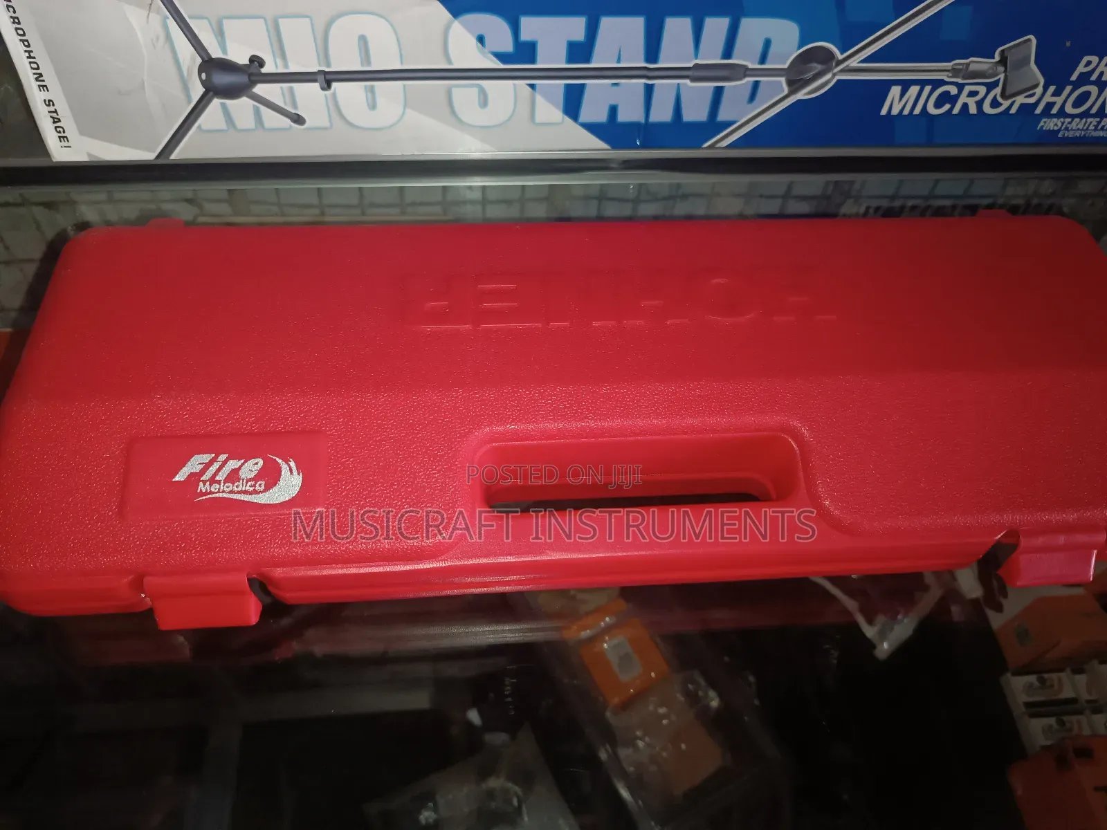 Hohner Professional Melodica