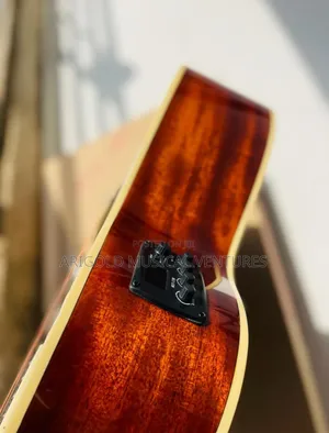 Bullfighter Professional Semi Acoustic Guitar  Big Name  