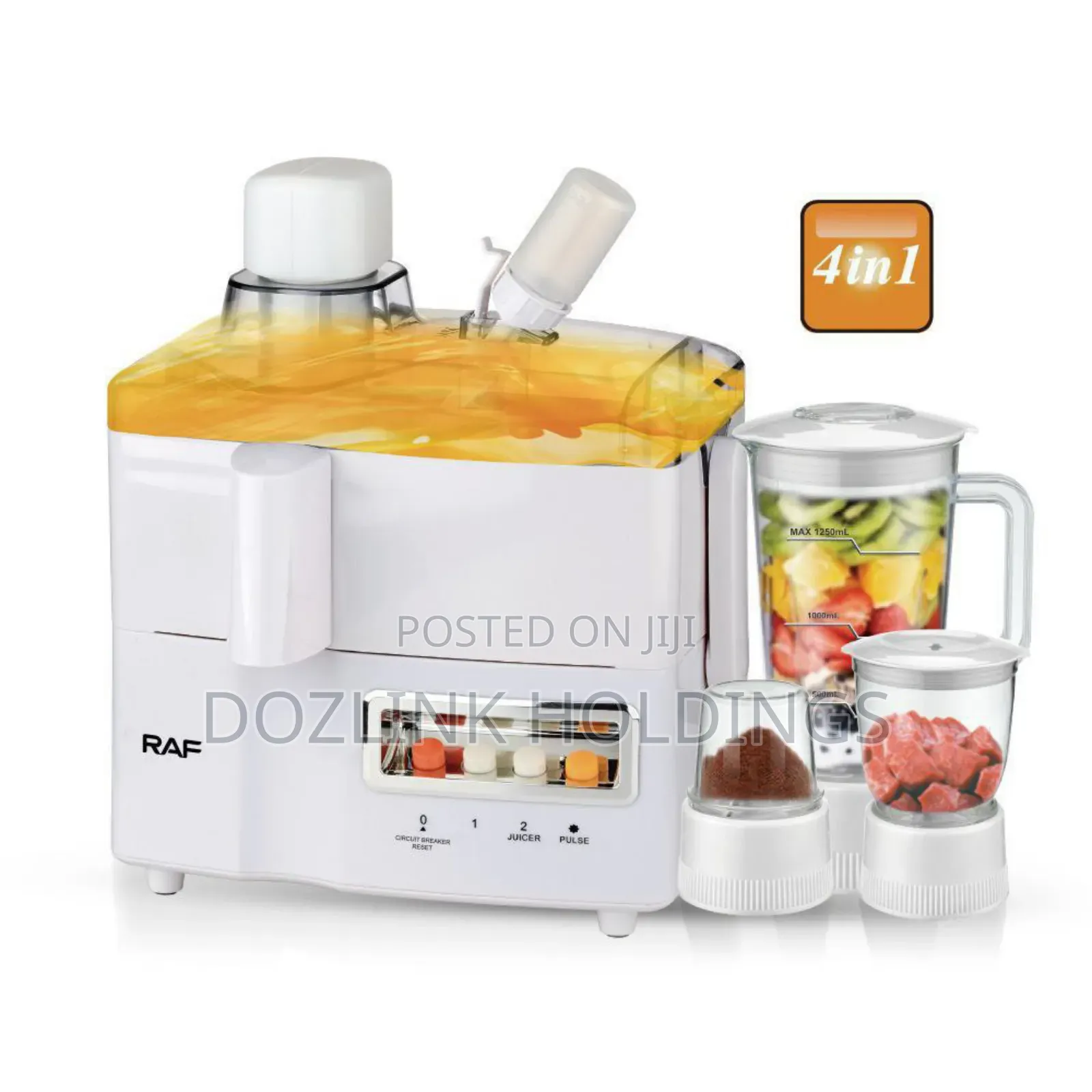4 in 1 Blender and Juicer