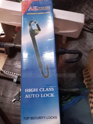 Steering and Pedal Lock.