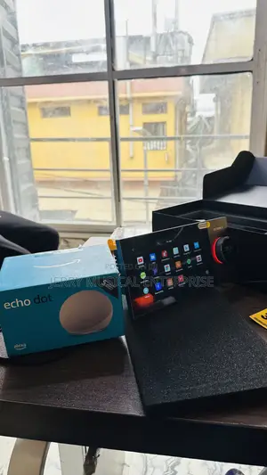 Amazon Alexa Wall Amplifier For Ceiling Speakers And Smart Homes