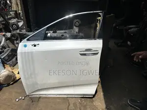 Complete Front Door Lexus Rx350 2024-025